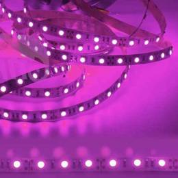 Tira LED 24V 14,4W por metro luz violeta